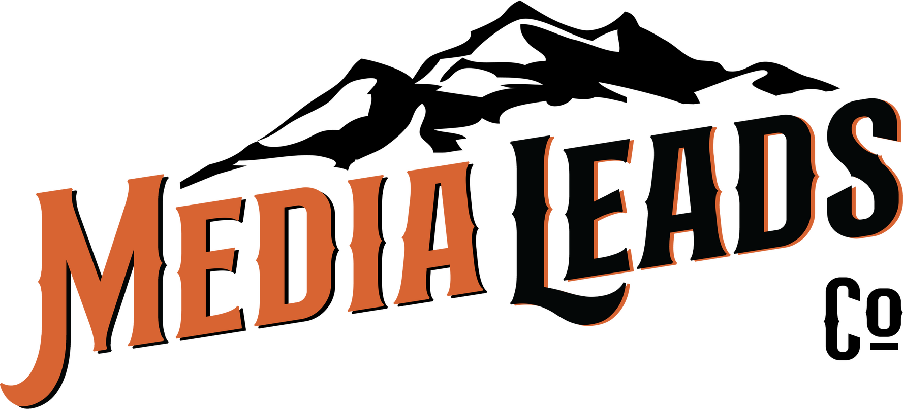Media Leads logo